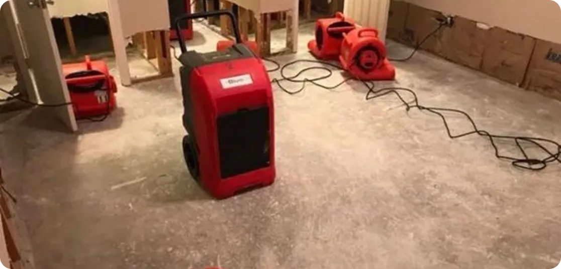 Restoration Equipment